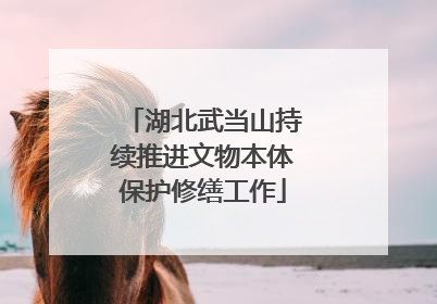 湖北武当山持续推进文物本体保护修缮工作